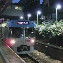 京王井の頭線東松原駅でアジサイのライトアップ